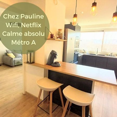 Magnifique Cocon - Metro A Republique - 2 Belles Chambres Avec Dressings - Wifi Gratuit - Netflix - Au Calme Absolu - Lumineux - Jardin Arbore Partage Dans La Residence 빌뢰르반 외부 사진