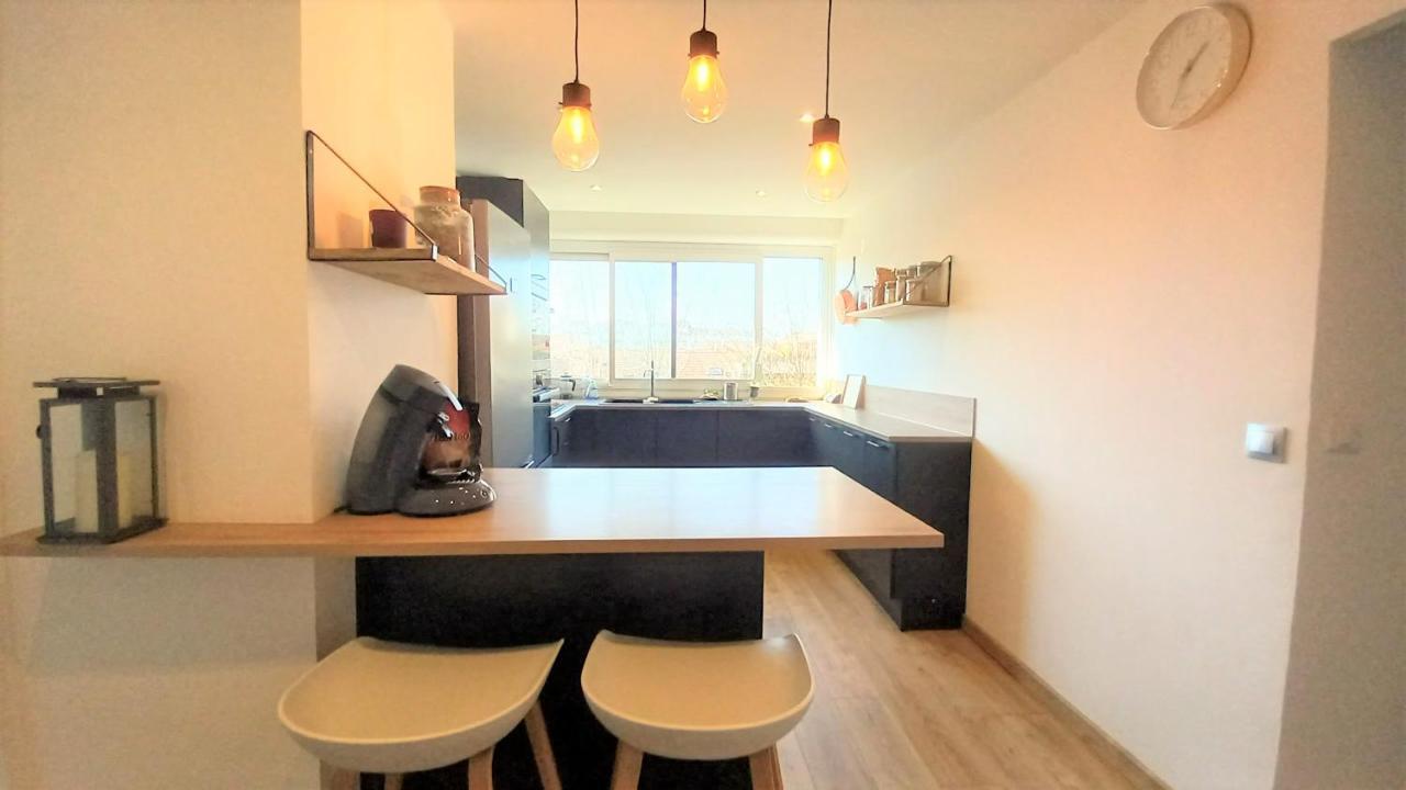 Magnifique Cocon - Metro A Republique - 2 Belles Chambres Avec Dressings - Wifi Gratuit - Netflix - Au Calme Absolu - Lumineux - Jardin Arbore Partage Dans La Residence 빌뢰르반 외부 사진